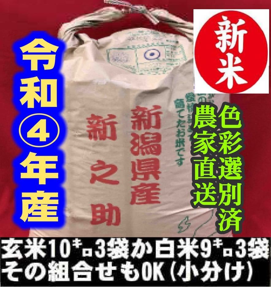新米 令和4年産 新潟 4個 新之助 農家直送 白米5kg × 色彩選別済09