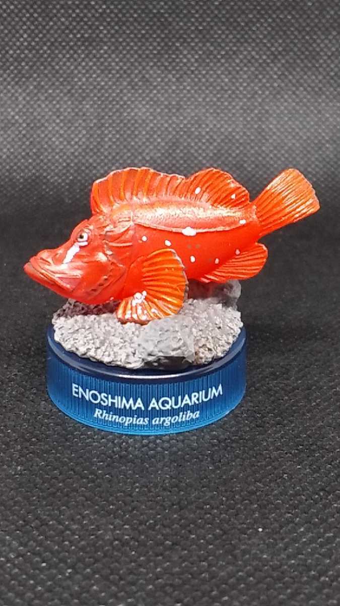 100%新品人気SALE】 ヤフオク! - 新江ノ島水族館立体生物図録2 新品