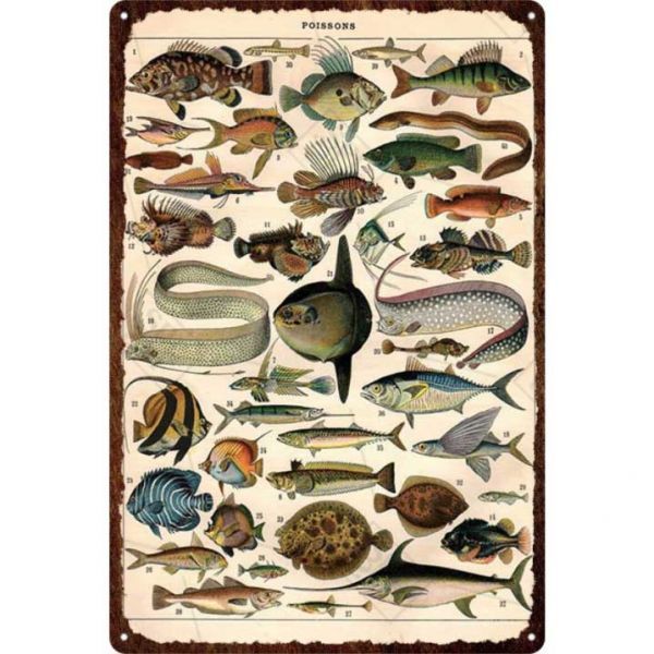 A2967 metal автограф металлический жестяная пластина табличка постер рыба морская рыбалка рыболовная снасть рыбалка рыба . автобус иллюстрированная книга . иллюстрации магазин 094