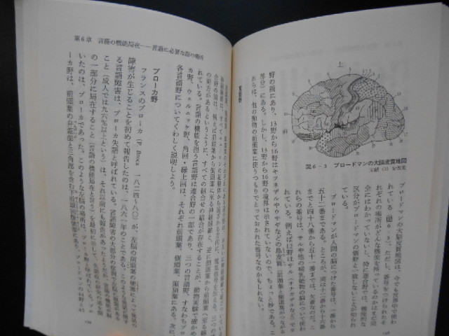 言語の脳科学　脳はどのようにことばを生みだすか （中公新書　１６４７） 酒井邦嘉／著_画像4