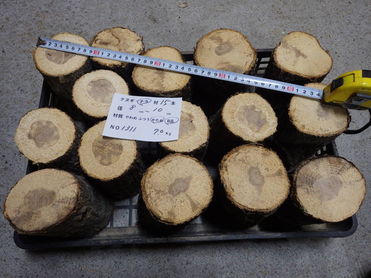 産卵木　ナラ　ＮＯ、1311　約 7.0ｋｇ　100サイズ　☆奈良県ＰＯＷＥＲ☆_画像1