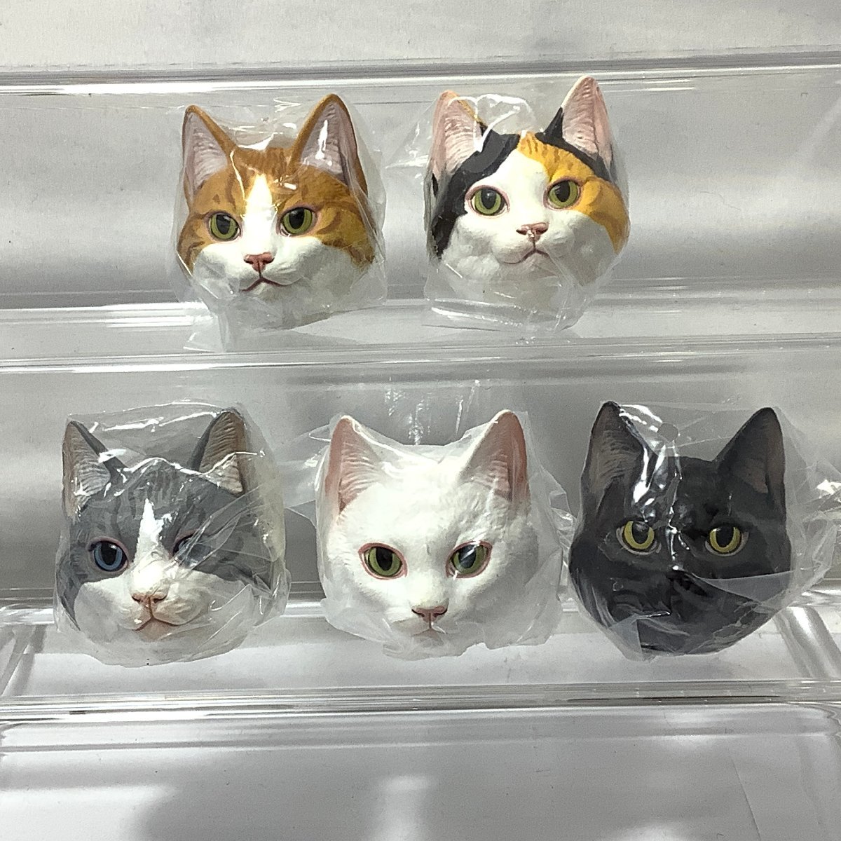  внутри пакет нераспечатанный кошка кошка кошка значок NEKO BADGE 5 вида комплект фигурка 
