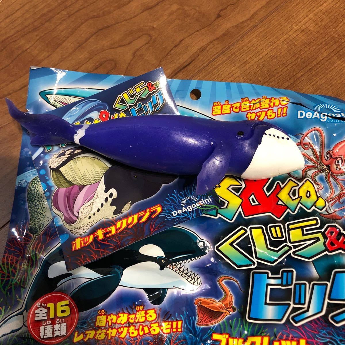 新作 ディアゴスティーニWHALES＆CO くじら＆COビッグ