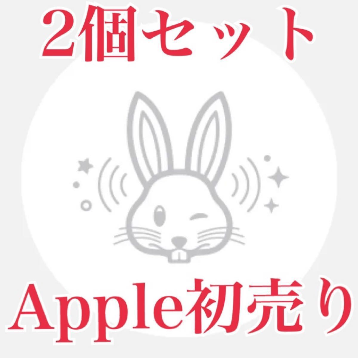 【2個セット】Apple初売り 限定AirTag アップル エアタグ うさぎ ウサギ 兎 干支 本体