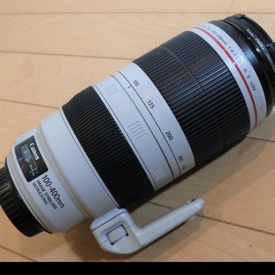 EF100-400mm Canon キヤノン F4 5-5 6L +エクステンダー1 4×+2 0 EF100-400mm Canon キヤノン F4 5-5 6L +エクステンダー1 4×+2 0