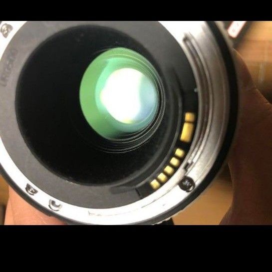 EF100-400mm Canon キヤノン F4 5-5 6L +エクステンダー1 4×+2 0 EF100-400mm Canon キヤノン F4 5-5 6L +エクステンダー1 4×+2 0