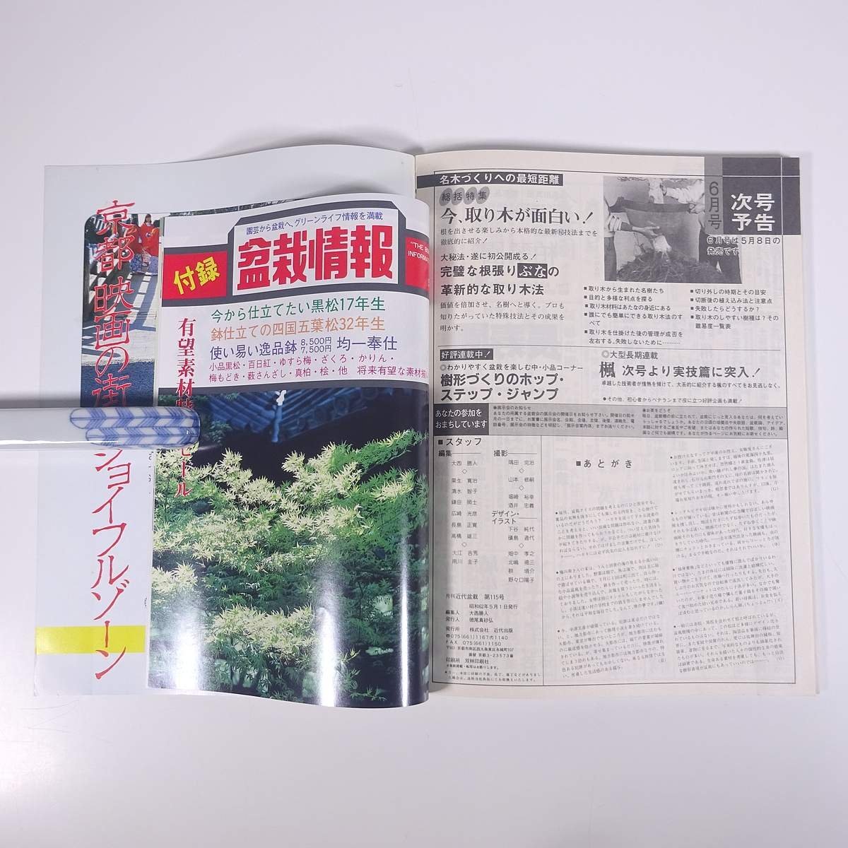 月刊 近代盆栽 No.115 1987/5 近代出版 雑誌 盆栽総合誌 園芸 ガーデニング 植物 特集・楽しい小品盆栽 楓 黒松 ほか_画像10