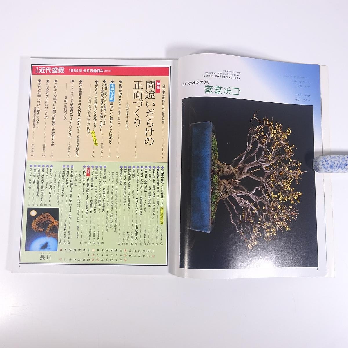 月刊 近代盆栽 No.83 1984/9 近代出版 雑誌 盆栽総合誌 園芸 ガーデニング 植物 特集・間違いだらけの正面づくり 盆栽の基本ルールと応用_画像6