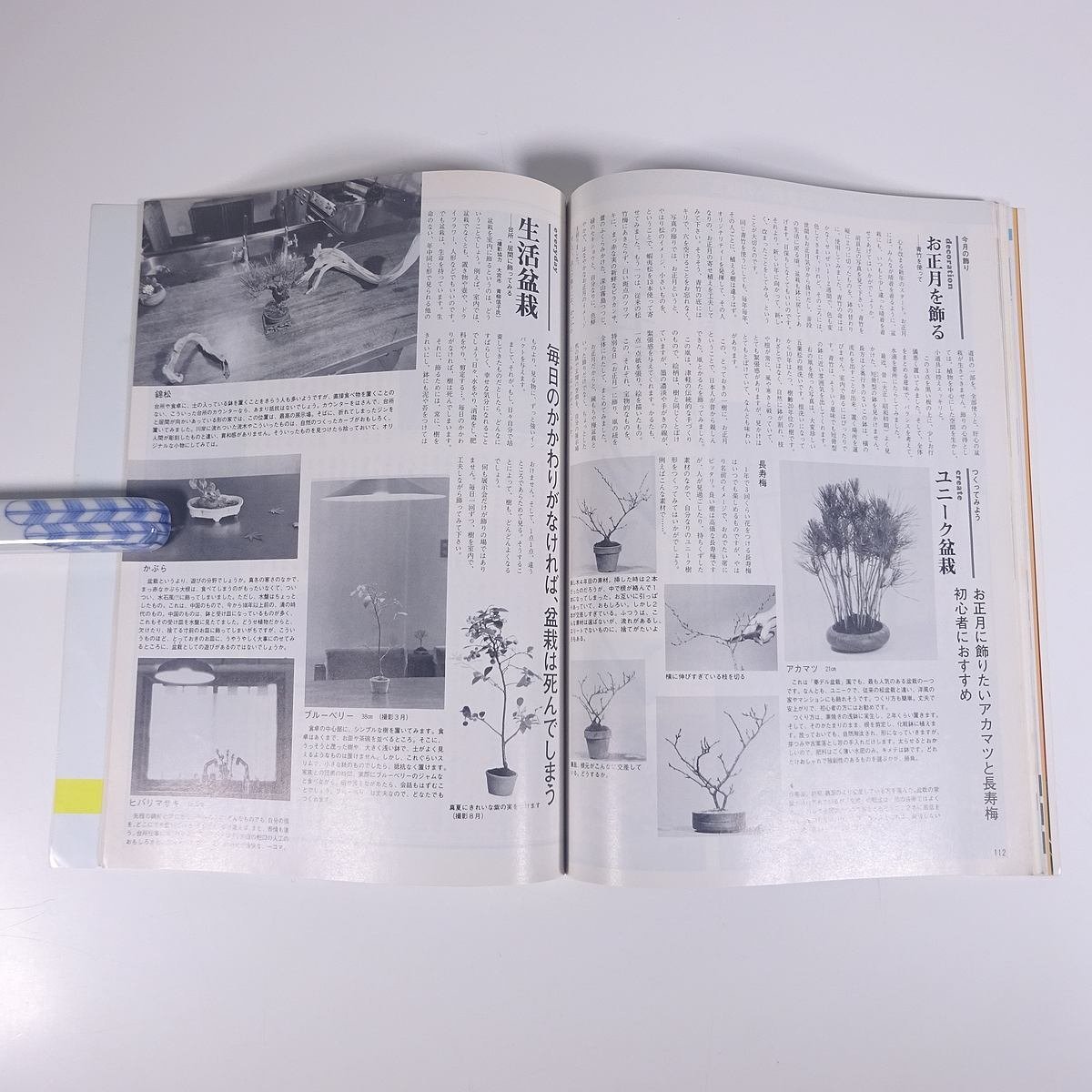 月刊 近代盆栽 No.99 1986/1 近代出版 雑誌 盆栽総合誌 園芸 ガーデニング 植物 特集・全国出張ドクター 幻の盆栽作家登場 ほか_画像9