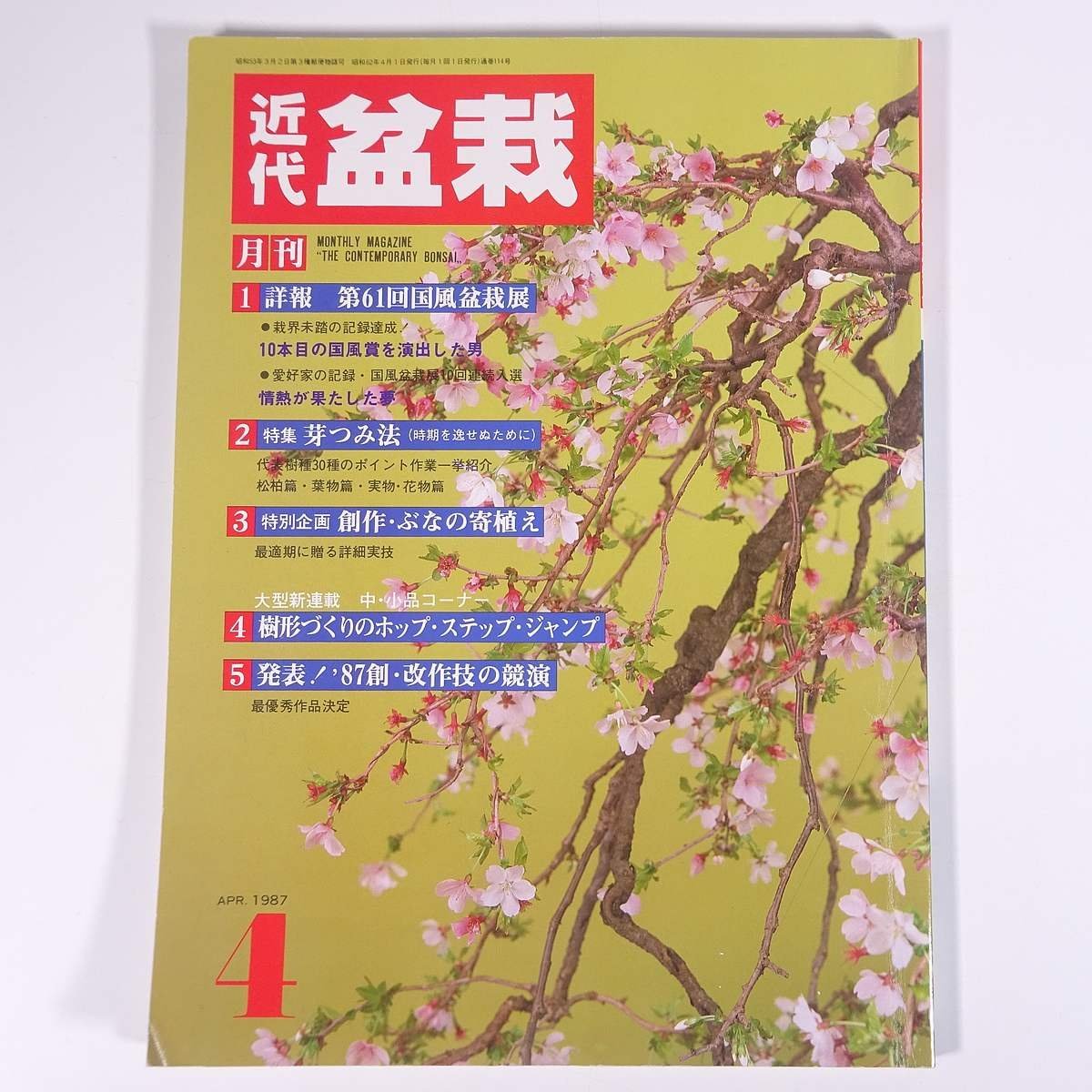 月刊 近代盆栽 No.114 1987/4 近代出版 雑誌 盆栽総合誌 園芸 ガーデニング 植物 特集・芽つみ法 ぶなの客植え 第61回国風盆栽展 ほか_画像1