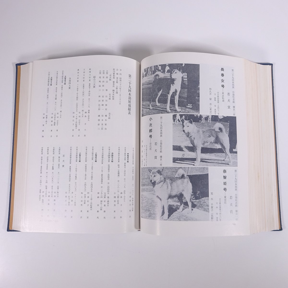 【送料800円】 日本犬保存会創立五十周年史 上下巻セット 日本犬保存会 1978 大型本 裸本 図版 図録 犬 いぬ イヌ ドッグ ブリーダー_画像9