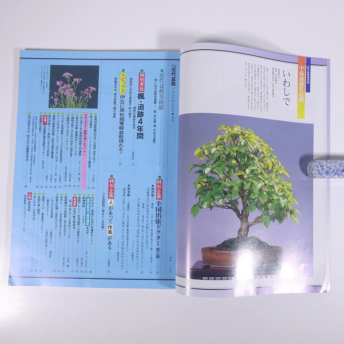 月刊 近代盆栽 No.105 1986/7 近代出版 雑誌 盆栽総合誌 園芸 ガーデニング 植物 特集・全国出張ドクター かえで石付き ぶな・4年間 ほか_画像6