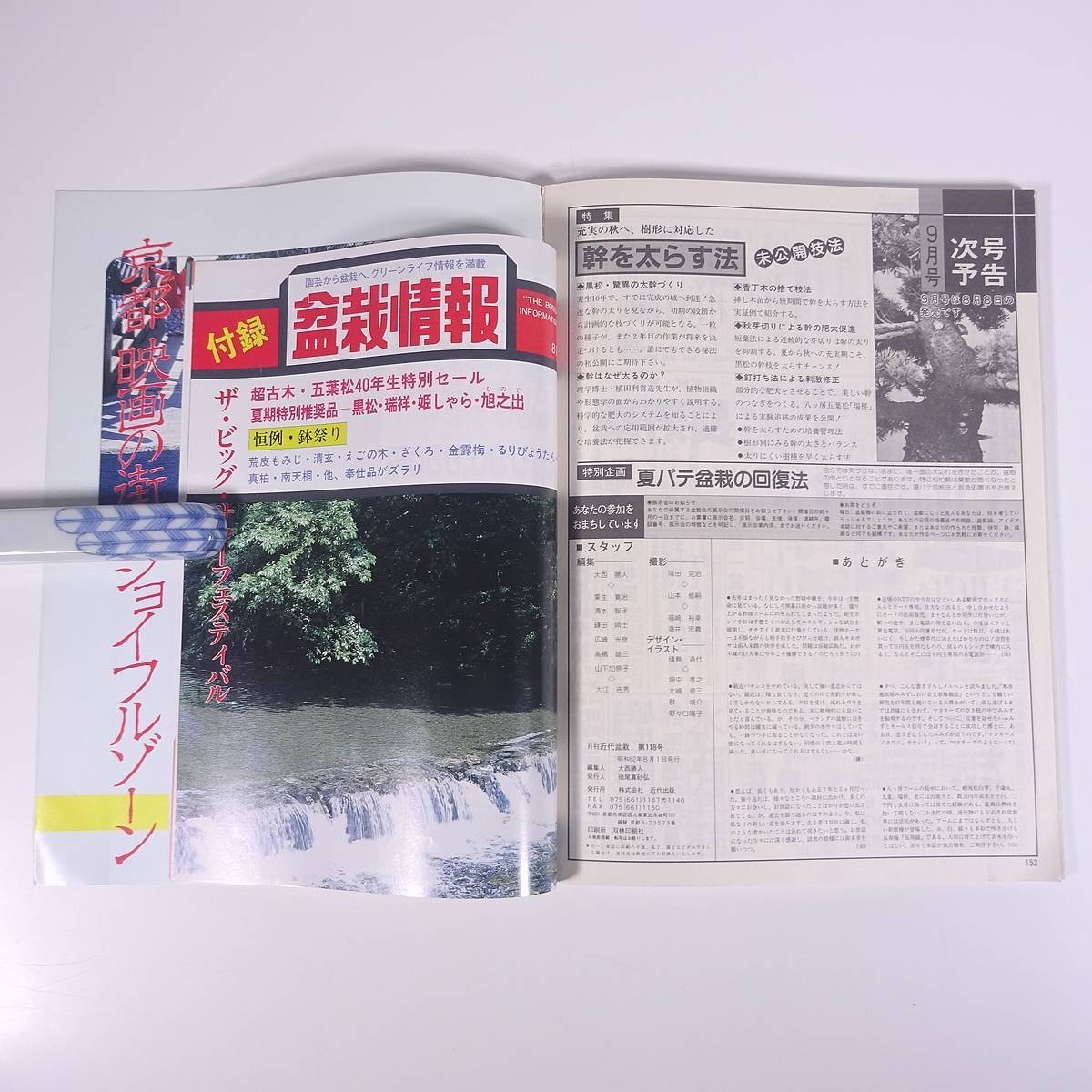 月刊 近代盆栽 No.118 1987/8 近代出版 雑誌 盆栽総合誌 園芸 ガーデニング 植物 特集・幹をつくる・変える 松柏篇・雑木篇 山もみじ ほか_画像10