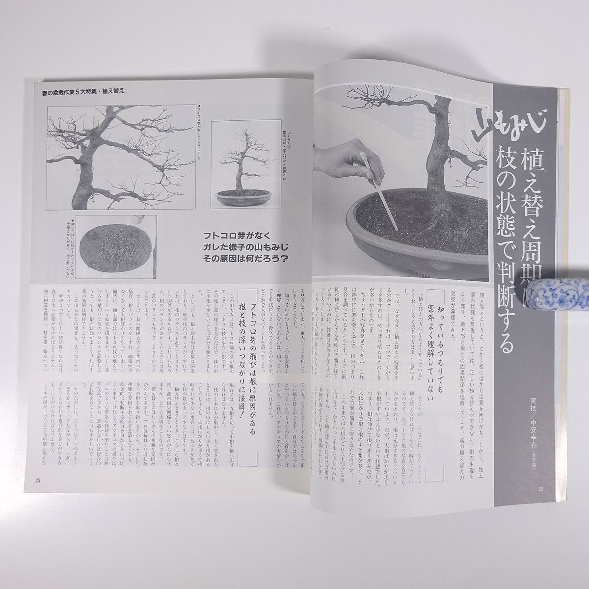 月刊 近代盆栽 No.150 1990/4 近代出版 雑誌 盆栽総合誌 園芸 ガーデニング 植物 特集・髙木盆栽美術館 64回国風盆栽展 ほか_画像7