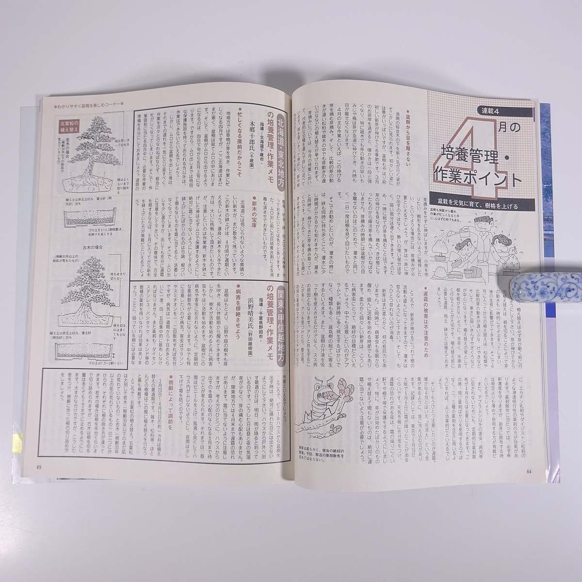 月刊 近代盆栽 No.114 1987/4 近代出版 雑誌 盆栽総合誌 園芸 ガーデニング 植物 特集・芽つみ法 ぶなの客植え 第61回国風盆栽展 ほか_画像8