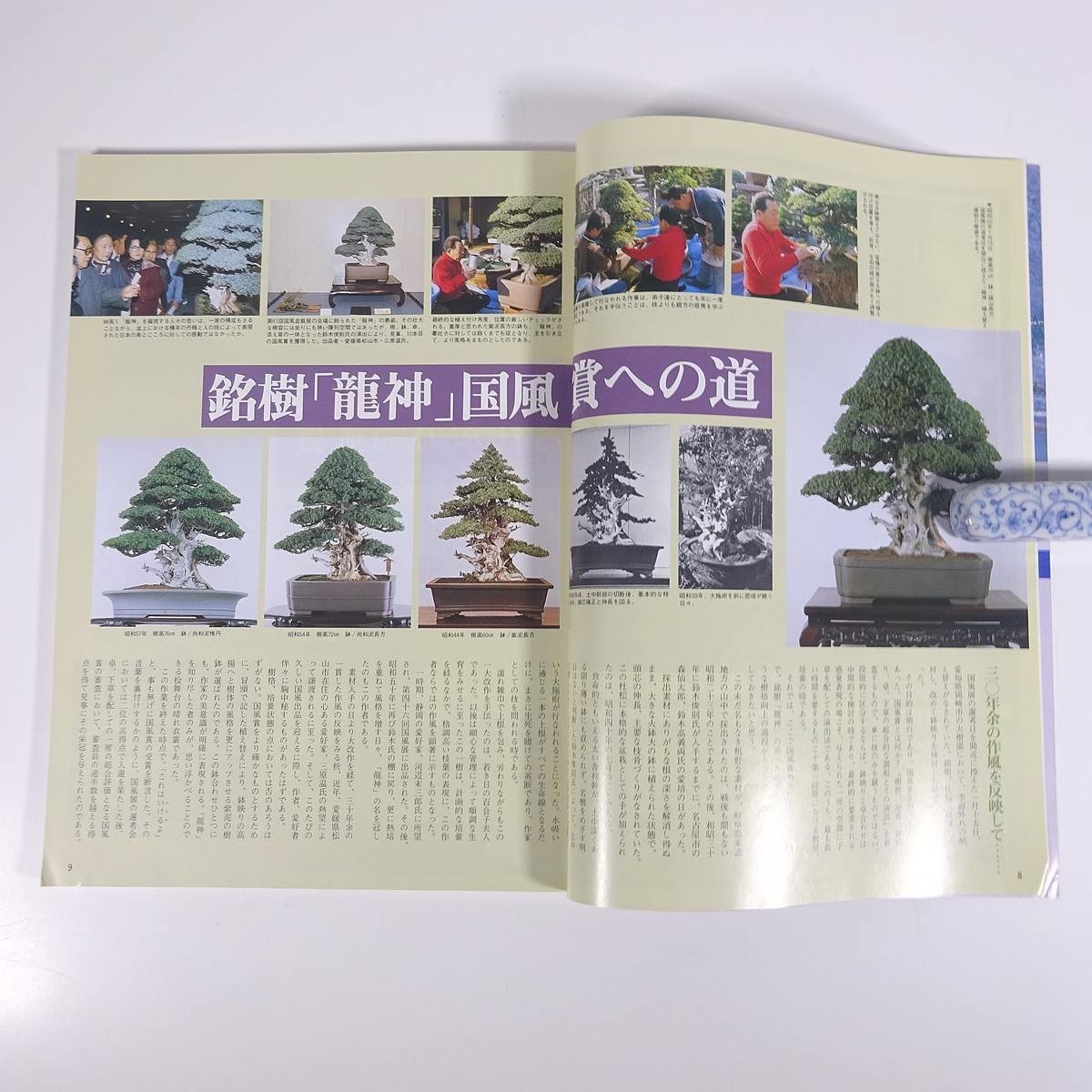 月刊 近代盆栽 No.114 1987/4 近代出版 雑誌 盆栽総合誌 園芸 ガーデニング 植物 特集・芽つみ法 ぶなの客植え 第61回国風盆栽展 ほか_画像7