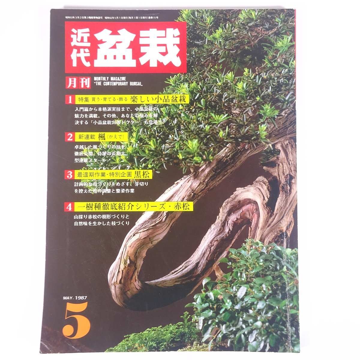 月刊 近代盆栽 No.115 1987/5 近代出版 雑誌 盆栽総合誌 園芸 ガーデニング 植物 特集・楽しい小品盆栽 楓 黒松 ほか_画像1