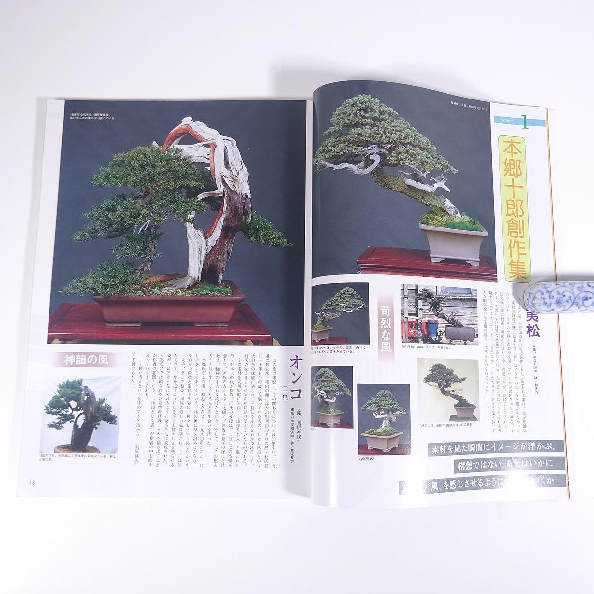 月刊 近代盆栽 No.99 1986/1 近代出版 雑誌 盆栽総合誌 園芸 ガーデニング 植物 特集・全国出張ドクター 幻の盆栽作家登場 ほか_画像7