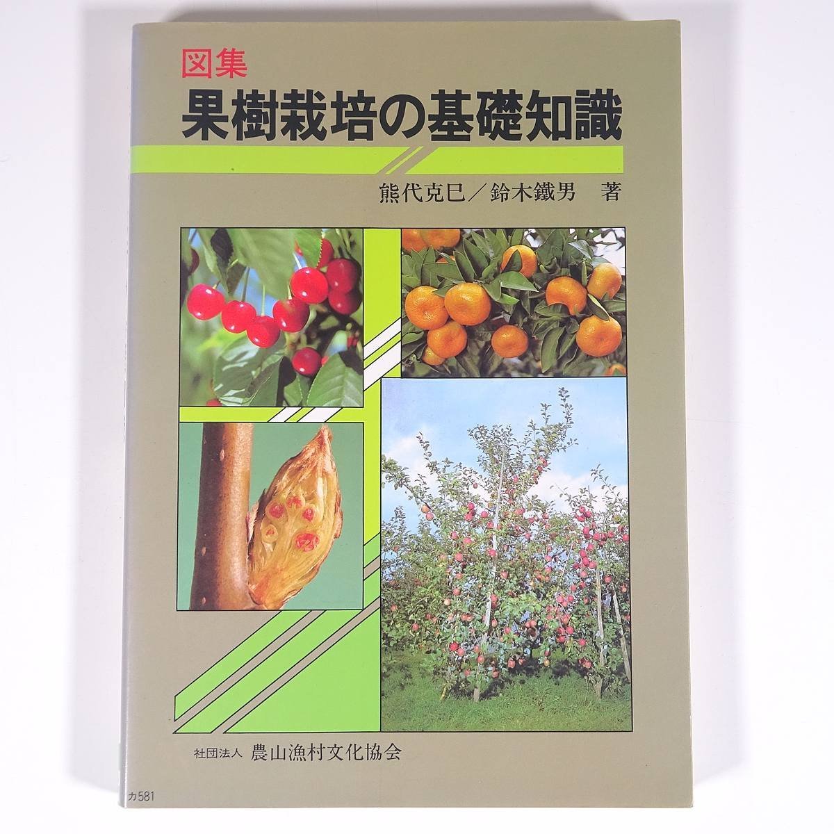 図集 果樹栽培の基礎知識 熊代克巳 鈴木鐵男 農文協 農山漁村文化協会 1992 単行本 農学 農業 農家 果物 フルーツ