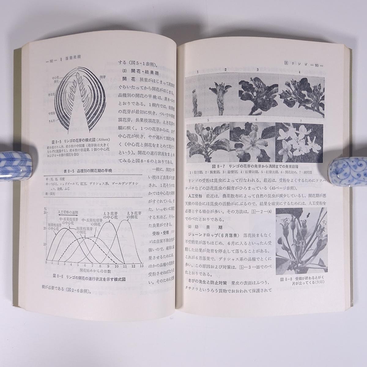  map compilation fruit tree cultivation. base knowledge bear fee .. Suzuki . man agriculture writing . agriculture mountain .. culture association 1992 separate volume agriculture agriculture agriculture house fruit fruit 