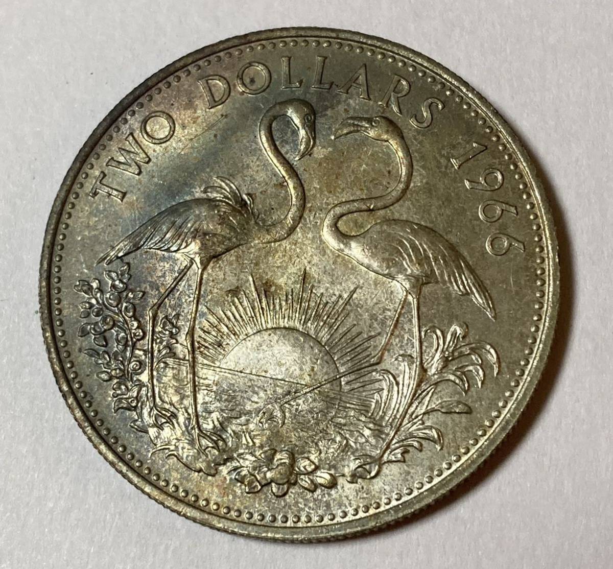 1円〜未使用 バハマ諸島 1966年 2ドル 銀貨 エリザベス トーン Lot4960の画像1