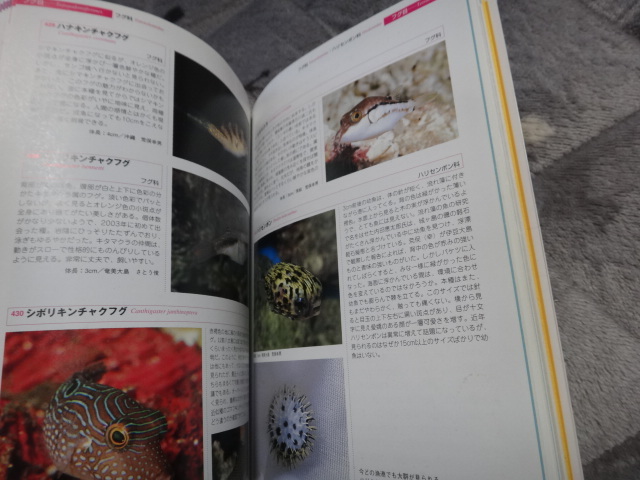 Yahoo!オークション - 磯採集ガイドブック 死滅回遊魚を求めて Yahoo!オークション - 磯採集ガイドブック 死滅回遊魚を求めて