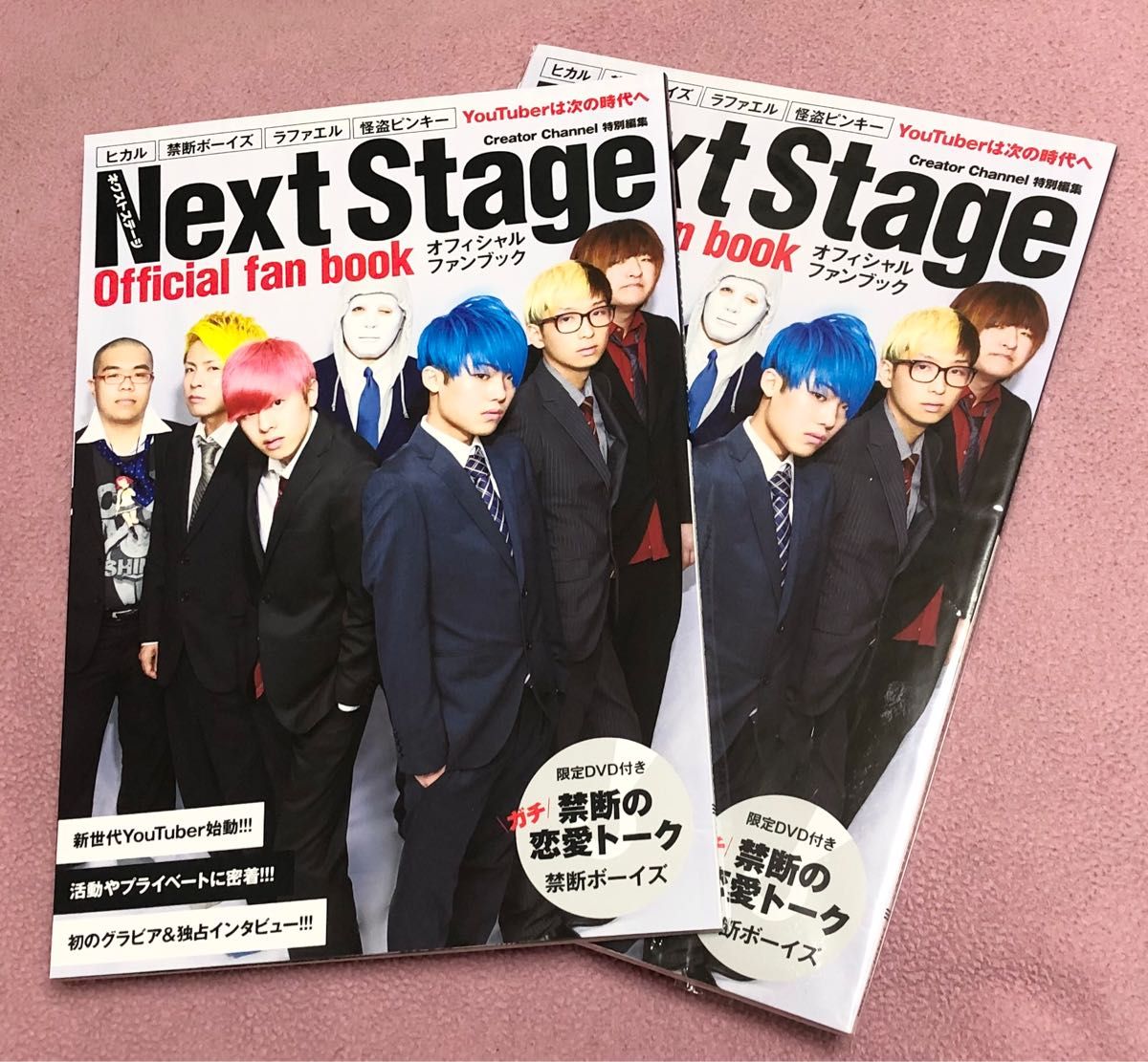 Next Stage ネクストステージ オフィシャルファンブック 【内1冊 新品】