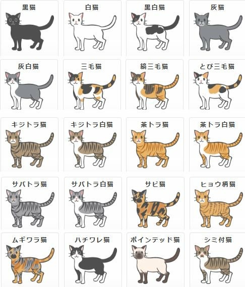 猫　置物　飾り　アクセサリー インテリア 猫 白猫 シロネコ_画像6