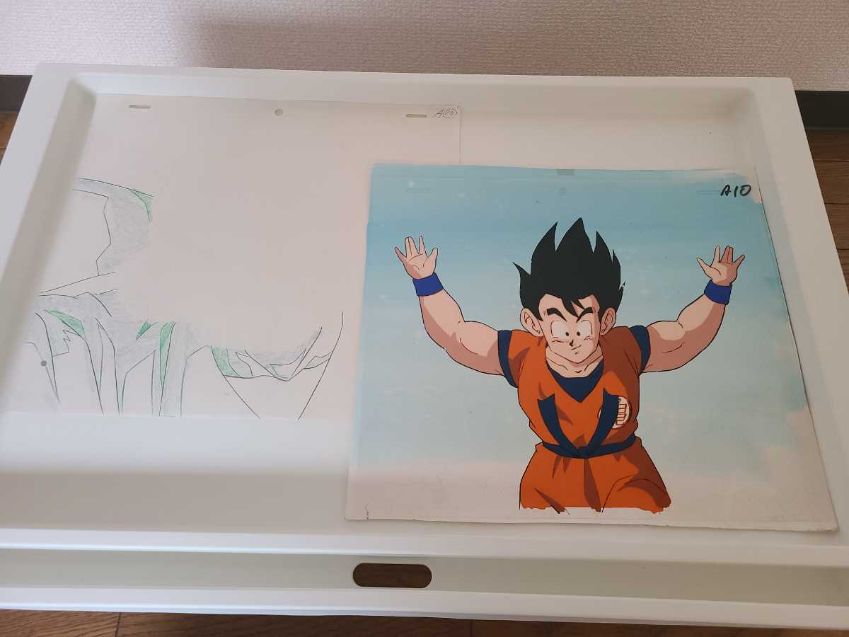 DRAGON BALL　孫悟空　セル画　直筆背景付き　鳥山明　ドラゴンボール