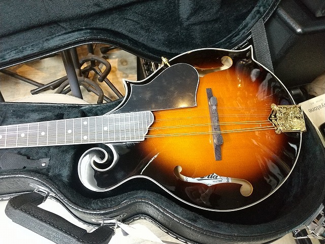 Aria　AM-40 　Mandolin　マイク搭載!! アンプに繋げる　フラットマンドリン　マンドリン