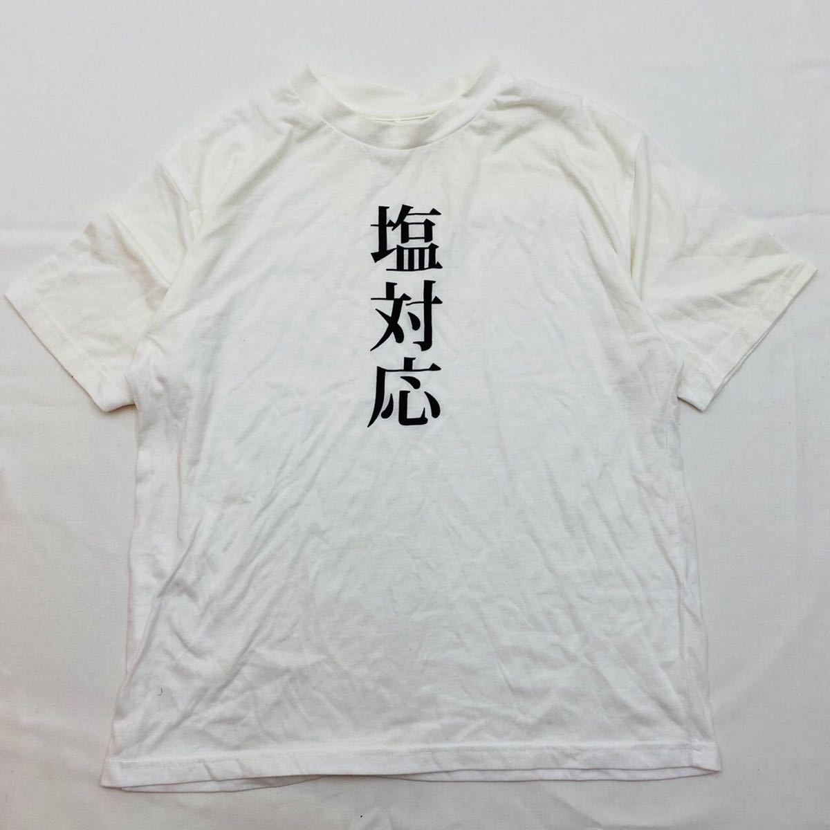 「塩対応」Tシャツ 白 おもしろTシャツ ジョーク 漢字_画像1