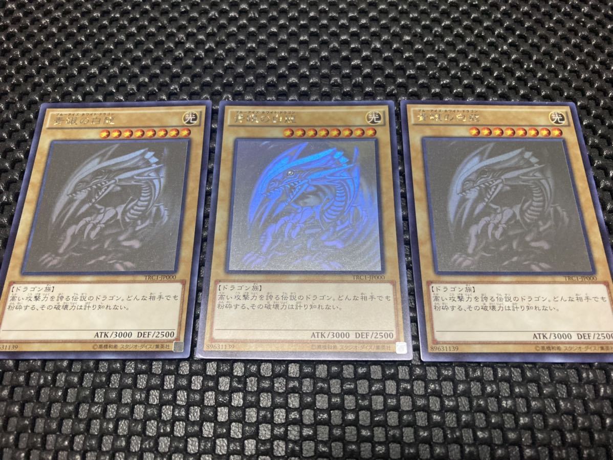 定期入れの 青眼の白龍 ホログラフィック レア 遊戯王 1枚 青眼の白龍