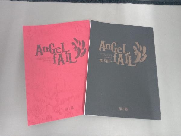 DVD AnGeL fAlL(完全生産限定版)_画像6