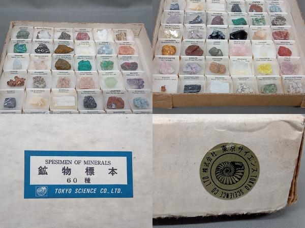 【ジャンク】 東京サイエンス 鉱物標本 60種の画像10