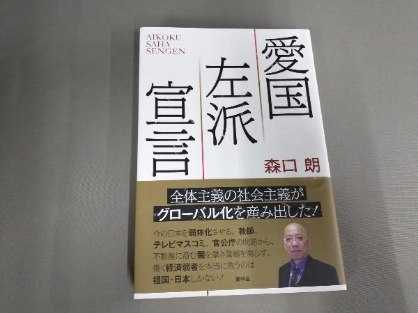 愛国左派宣言 森口朗_画像1