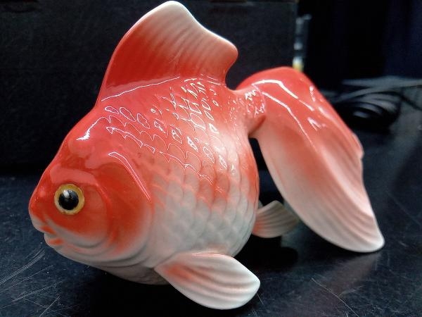 通販新品 ヤフオク! - ボーンチャイナ NIPPON TOKI KAISHA 金魚 店舗受