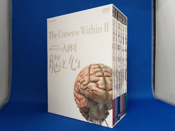 見事な創造力 DVD NHKスペシャル 驚異の小宇宙 人体 脳と心 DVD-BOX