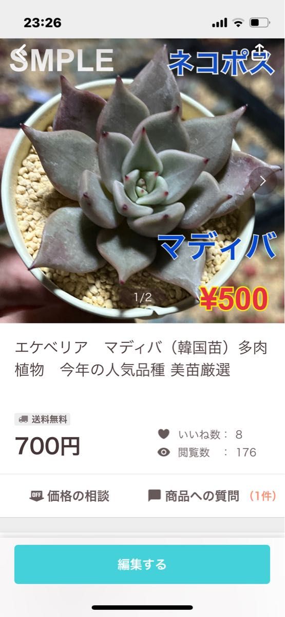 四国化成 カーボン・プラスター5箱(1箱6袋入り)1箱からでも可