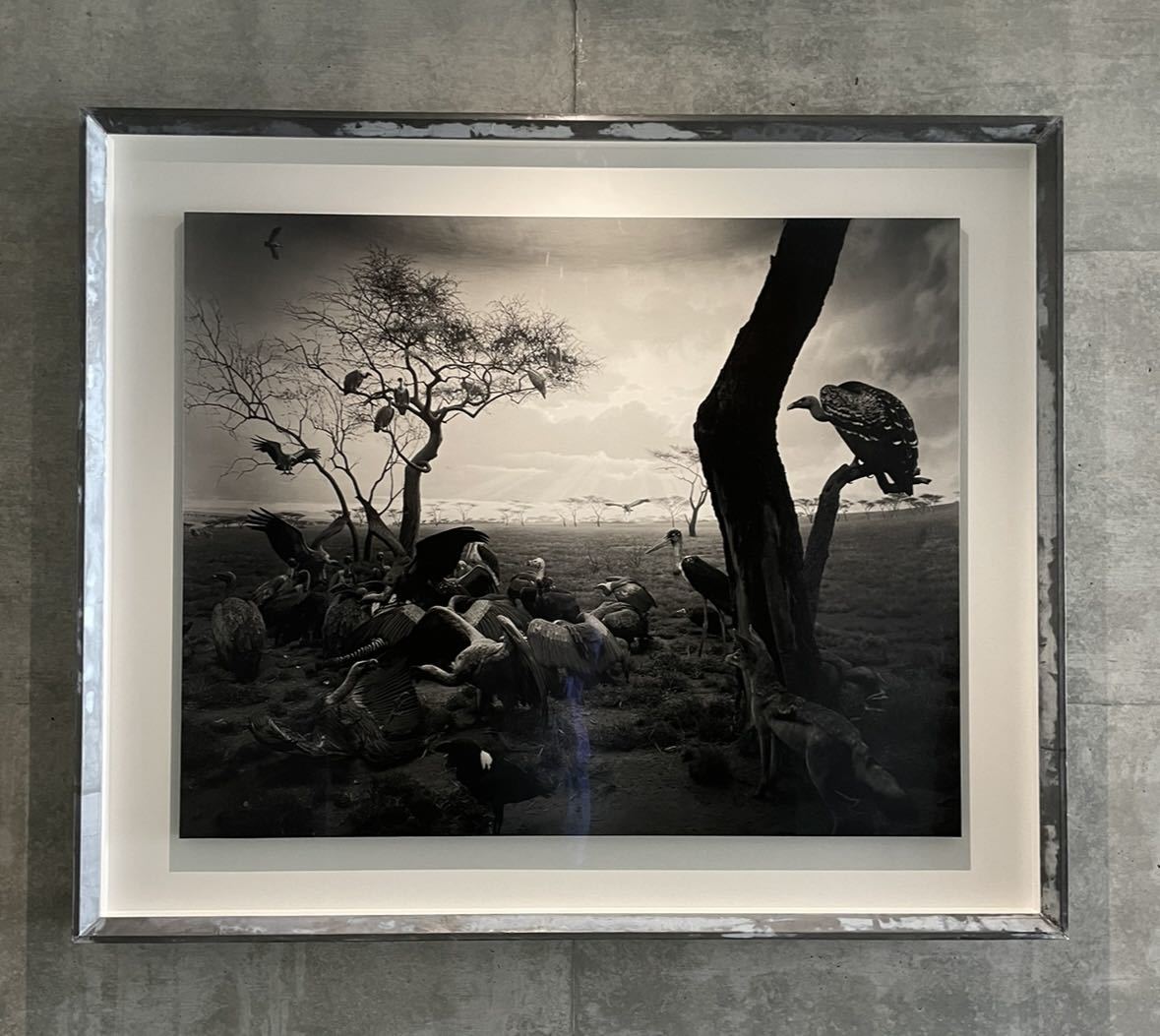 新品 杉本博司 ハイエナ、ジャッカル、コンドル 数量限定ポスター HIROSHI SUGIMOTO_画像1