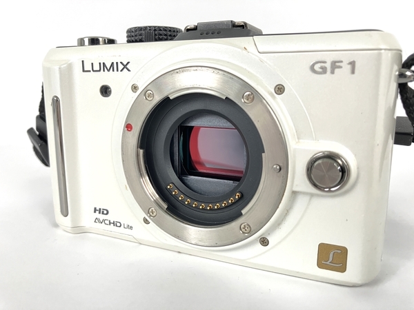 通常 1本タイプ Panasonic LUMIX DMC-GF1 ミラーレス一眼 カメラ ボディ | www.mjds.edu.in