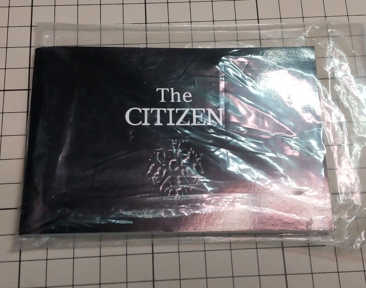 中古品 傷有り The CITIZEN  ザ・シチズン AQ1034-56E