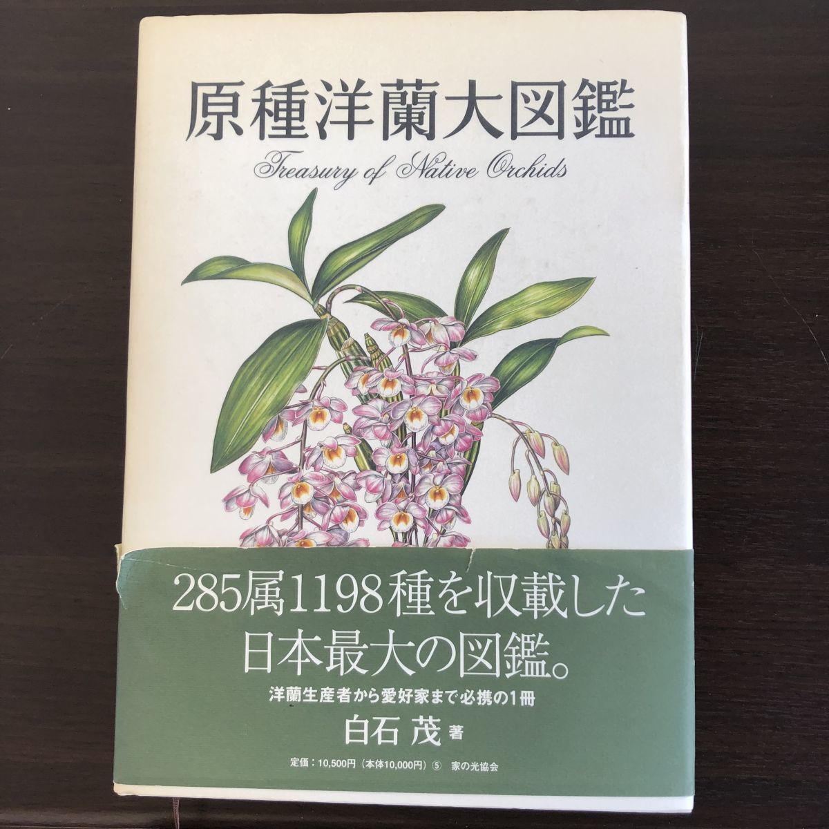 原種洋蘭大図鑑 白石茂 園芸 花 中古 のヤフオク落札情報