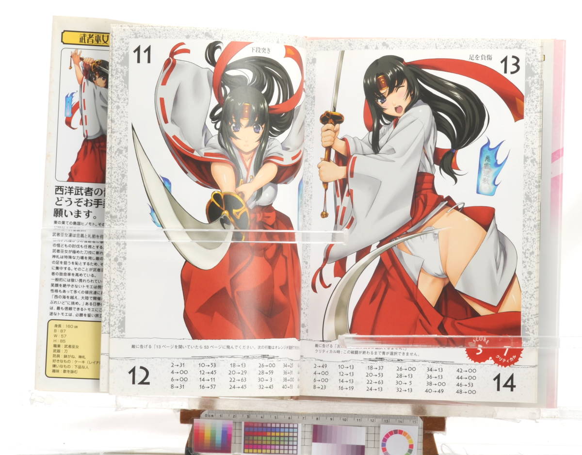 [Delivery Free]2000s QUEEN,S BLQ|ADE Warrior Shrine Maiden Tomoe クイーンズブレイド 武者巫女 トモエ[tagパンフ]_画像2