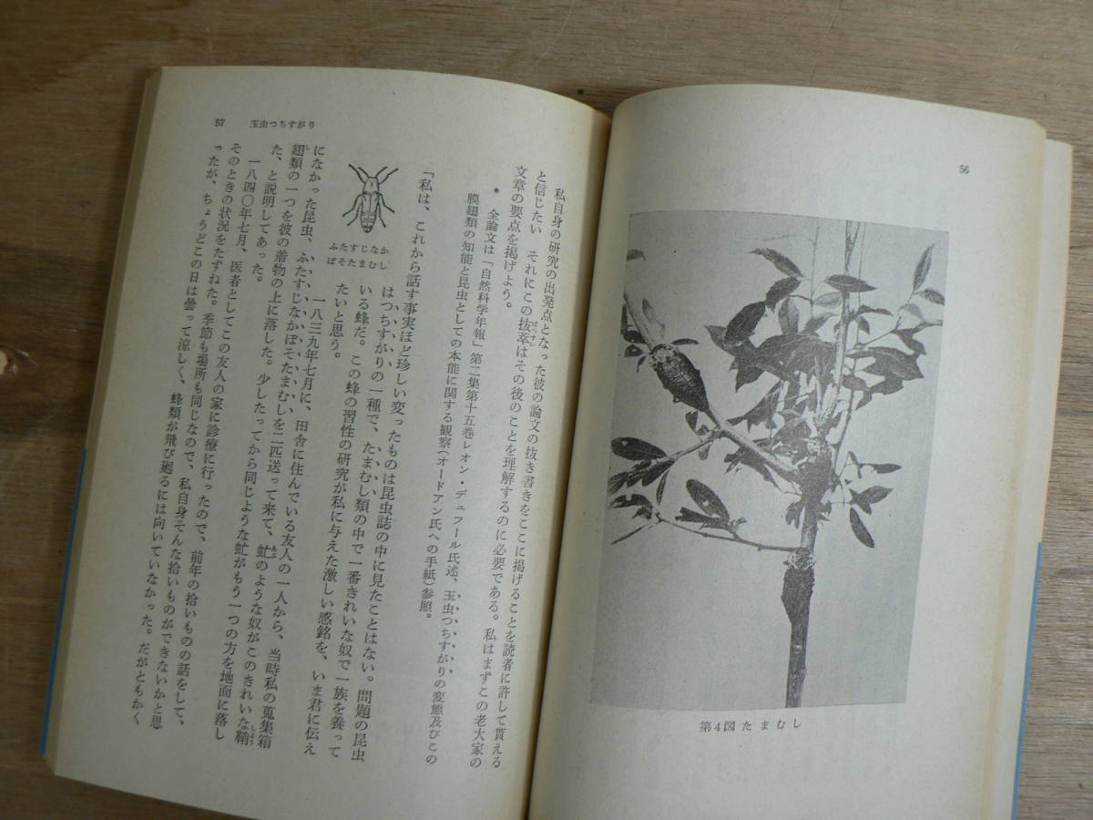 s Iwanami Bunko мех bru насекомое регистрация все 20 шт. . есть гора рисовое поле ..*.. Хара перевод obi Iwanami книжный магазин 