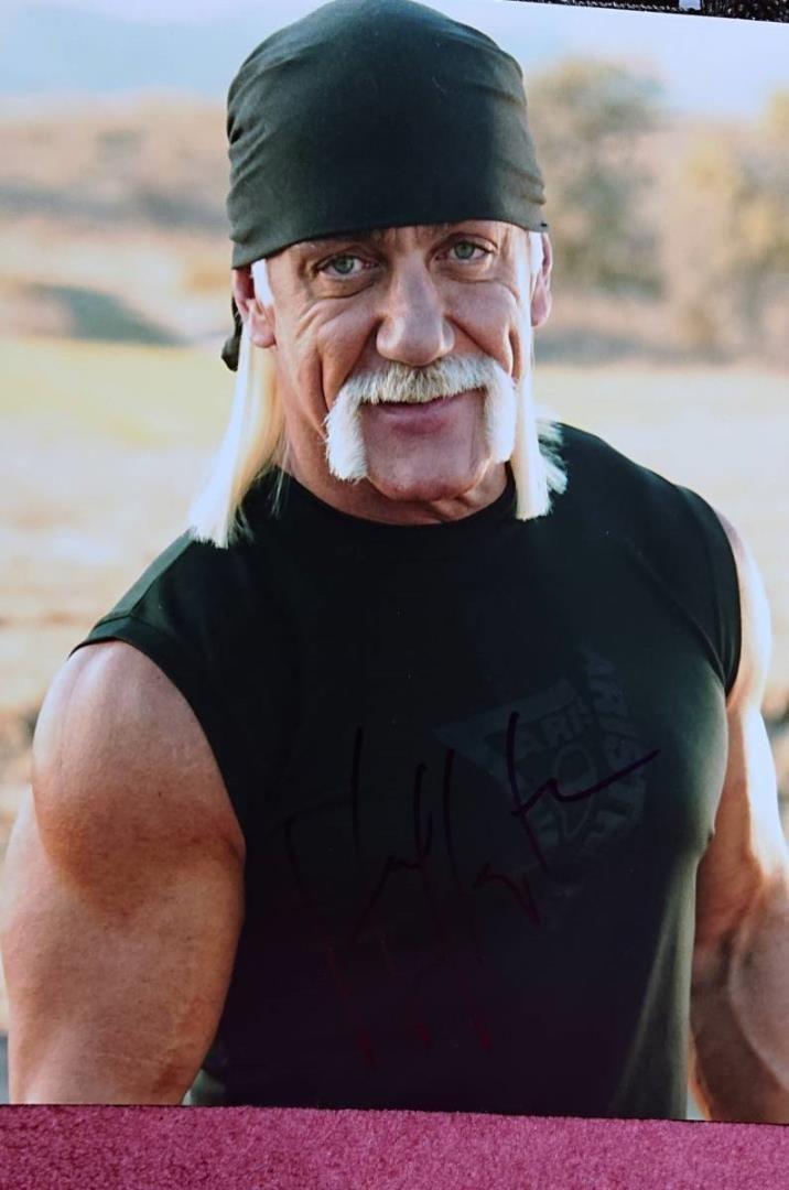 Hulk Hogan осенний знак сертификат профессиональный борец супергумин Hulk Sine Paper