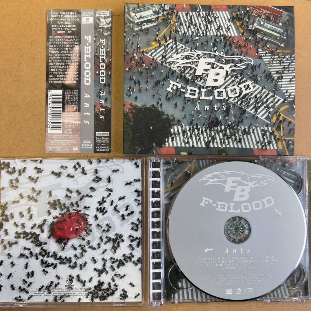 送料無料☆F-BLOOD『Ants』初回限定盤CD＋DVD☆帯付☆美品☆アルバム☆藤井フミヤ☆289_画像3