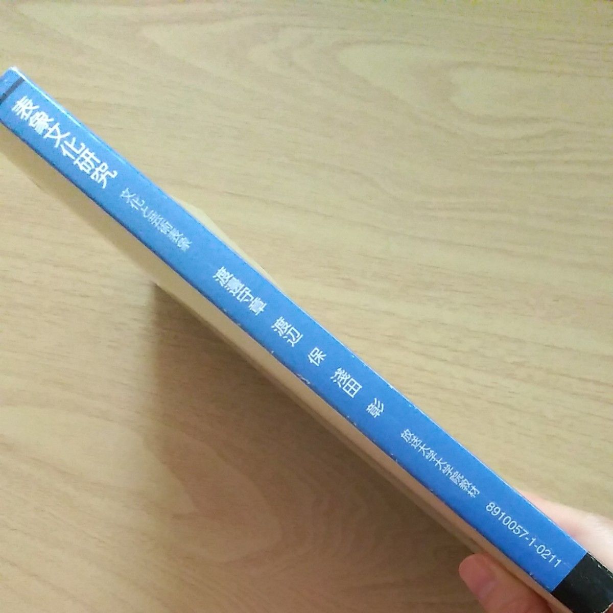 表象文化研究―文化と芸術表象 (放送大学大学院教材) 渡辺 守章 他2名 古本