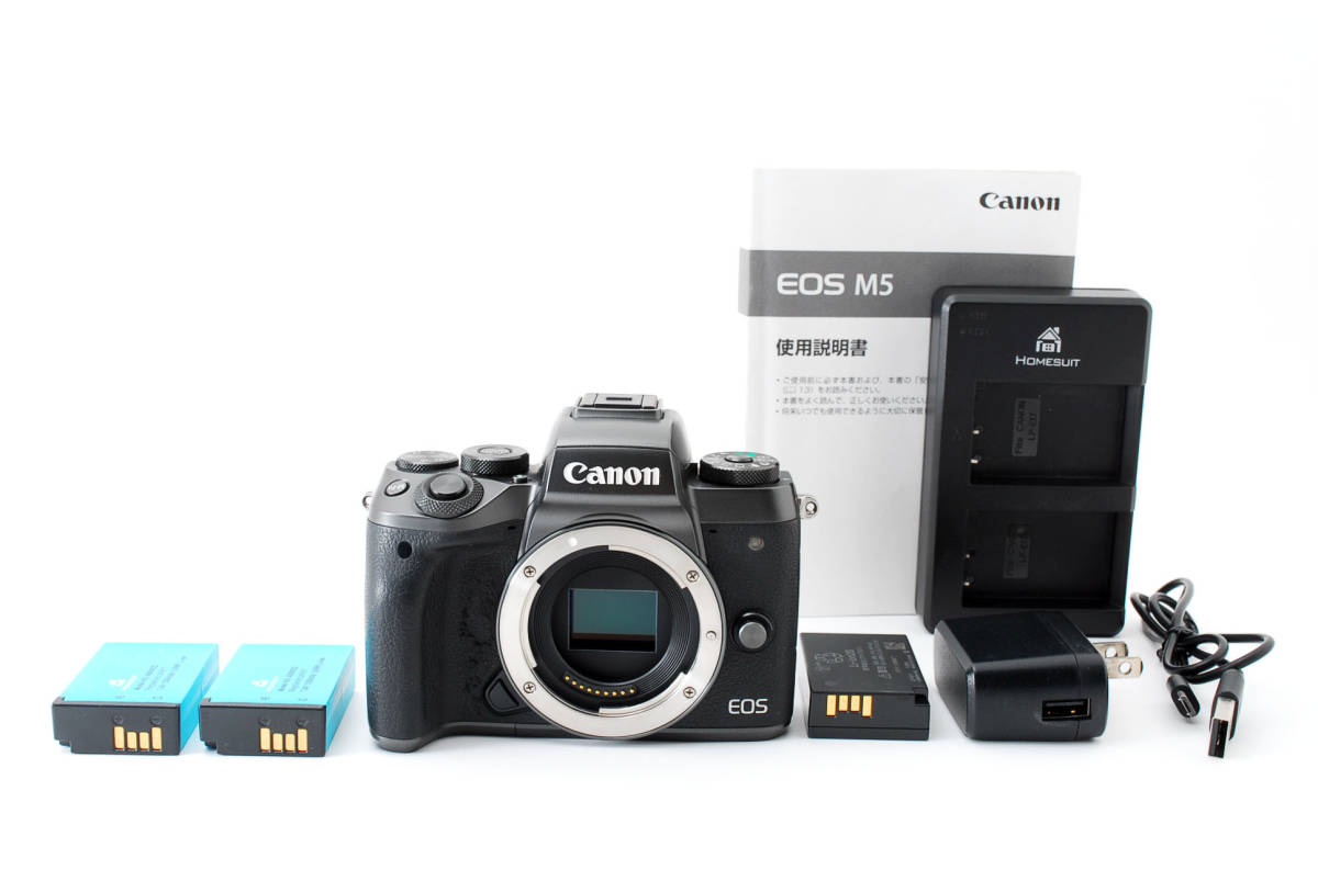 ☆完全動作品☆ canon キャノン EOS M5 ボディ 取説、純正バッテリー