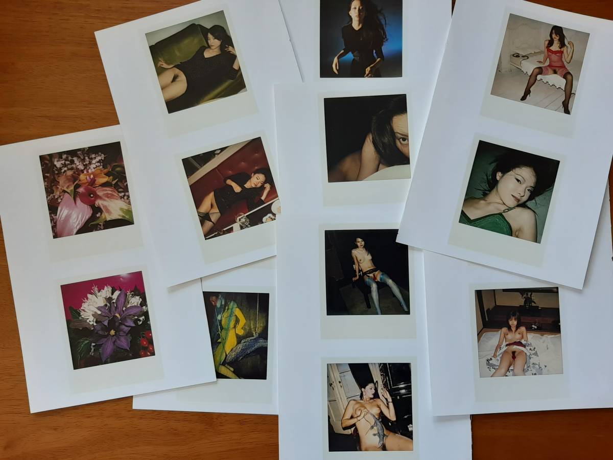 荒木経惟 「POLART」超希少 日本未発売 ポラロイド写真集 荒木経惟 「POLART」超希少 日本未発売 ポラロイド写真集
