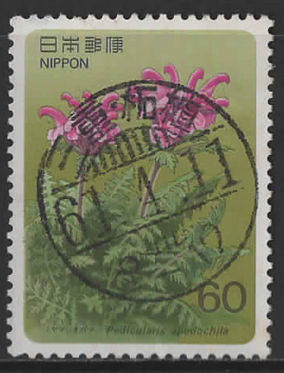 高山植物シリーズ ミヤマシオガマ 和文櫛形印満月印の画像1